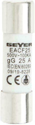 Geyer Cylindrical Fuse Link