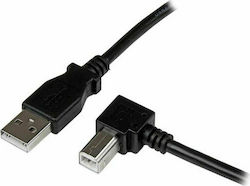 StarTech USB-A2B2MR USB 2.0 USB-A-Stecker zu USB-B-Stecker 2m