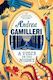 A Voice in the Night, Inspector Montalbano Myst...