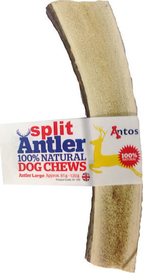 Antler Κέρατο Σκύλου Μεγαλόσωμων Φυλών από Ελάφι 120gr