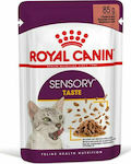 Royal Canin Sensory Taste Gravy/Salsa Wet Food for Adult Cats for Urinary Health In Pouch with 1pc 85gr