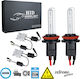 GloboStar Car Xenon Kit Extreme Series H16 CAN Bus 110W 9-16V 6000K Cold White