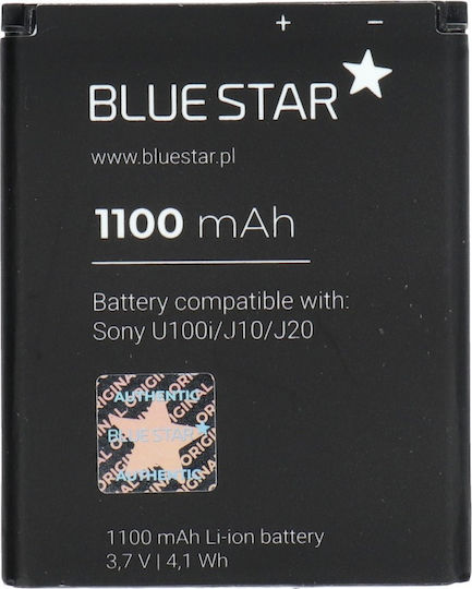 Blue Star Kompatibler Ersatzakku 1100mAh für