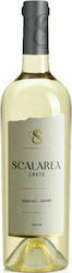 Μπουτάρη Scalarea Λευκό Ξηρό 750ml Μπουτάρη Scalarea Λευκό Ξηρό 750ml