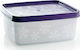 Viosarp Lunch Box Plastic Purple 650ml 1pcs