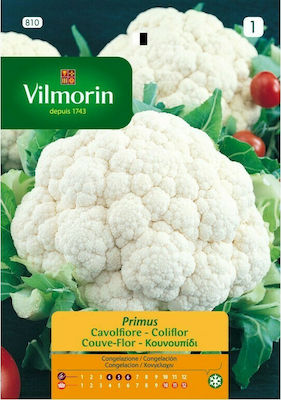 Vilmorin Snowball Σπόροι Κουνουπιδιού