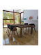 Stühle Speisesaal Black / Brown 4Stück 59.5x51x72cm