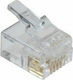 Equip Ștecher RJ-11 masculin 100buc Transparent (121131)