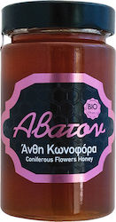 'Avaton Organic Honey Flower 400gr