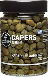 Lagadas Farm Capers In Salt 330gr