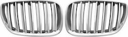Dekorative Auto Maske BMW X6 / X5 (E53) / X1 / X3 / X5 Dekorative Auto Maske BMW X6 / X5 (E53) / X1 / X3 / X5