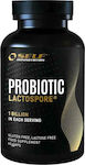 Self Omninutrition Probiotic Lactospore 1 Billion Probiotics 60 caps