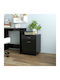 vidaXL Office Cabinet Wooden with Wheels Black 45x38x54cm