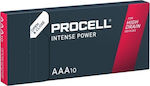 Procell Intense Power MX2400 Αλκαλικές Μπαταρίες AAA 1.5V 10τμχ