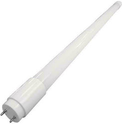 Eurolamp Λάμπα LED Τύπου Φθορίου 120cm για Ντουί G13 και Σχήμα T8 Φυσικό Λευκό 1900lm