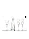 Capolavoro Wedding Carafe Set with Wine & Champagne Glasses made of Crystal 4pcs