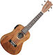 Tanglewood TWT 8 E Concert Ukulele