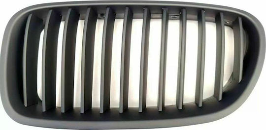 Διακοσμητική Μάσκα Αυτοκινήτου BMW F10 / F11 / Σειρά 5 / Σειρά 5 (F10)