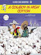 A Lucky Luke Adventure, Vol. 77 A Cowboy In Hig...