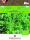 Vilmorin Seeds Lettuce Salad Bowl Organic Farming