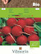 Vilmorin Seeds Radish Saxa Organic Farming