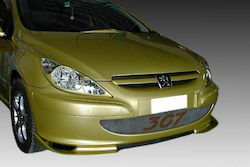 Μάσκα Φαναριών για Peugeot 307