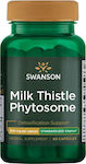 Swanson Siliphos Milk Thistle Phytosome 300mg Distel 60 Mützen