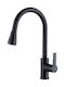 Hask Tall Kitchen Faucet Counter with Shower Black