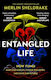 Entangled Life, The phenomenal Sunday Times bestseller exploring how fungi make our worlds, change our minds and shape our futures