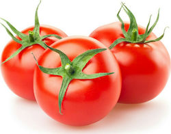 Tomato Cluster GOLD ERA F1 1.000 seeds