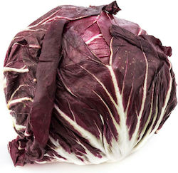 Radicchio Rosso VASARI 10.000 pel