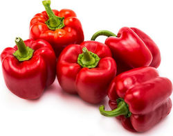 Peppers Ascanio F1 100 seeds