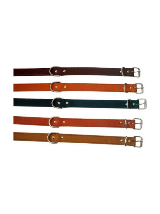 Dog Collar Leather in Brown color 15mm x 40cm