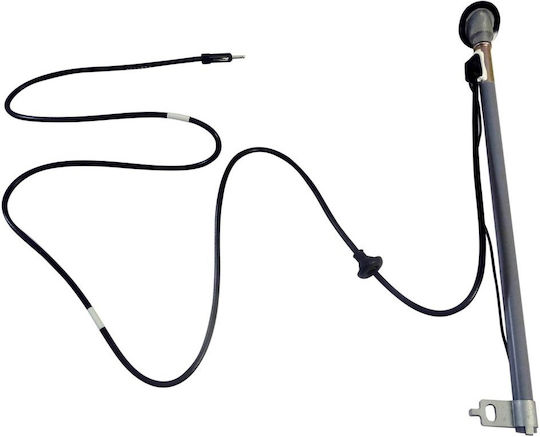 Carman Κεραία Αυτοκινήτου Οροφής Βιδωτή Toyota HiLux 1998