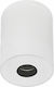 Zambelis Lights Outdoor Ceiling Spot with Integrated LED in White Color S113