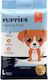 Puppies Pampers pentru câini cu adeziv 60x60cm 30buc