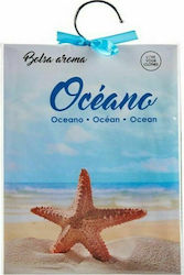 BigBuy Closet Fragrance Ocean 55gr