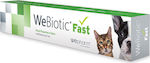 Wepharm WeBiotic Fast Paste Dietary Supplement for Dogs and Cats 30ml for Gastrointestinal Disorders