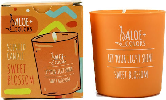 Aloe Colors Pure Serenity Αρωματικό Σόγιας σε Βάζο Aloe Colors Pure Serenity Αρωματικό Σόγιας σε Βάζο