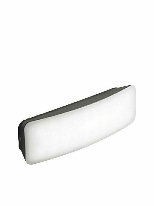 Gea Luce Dagr Wall-Mounted Outdoor Ceiling Light LED IP54 7W with Natural White Light