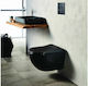 Tema Λεκάνη Κρεμαστή με Κάλυμμα Soft Close Anthracite