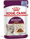 Royal Canin Sensory Taste Jelly Wet Food for Adult Cats in Pouches with Chicken 85gr