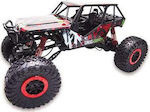 Amewi Crazy Remote Controlled Car Crawler