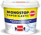 Berling Monostop Vapor Elastic Plastic Vopsea pentru Utilizare Externă 10lt