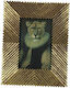 Zaros Lion Polyresin Photo Frame Gold
