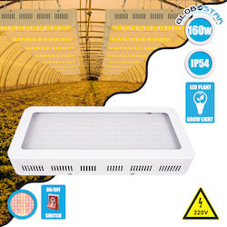 GloboStar Πάνελ Grow Light