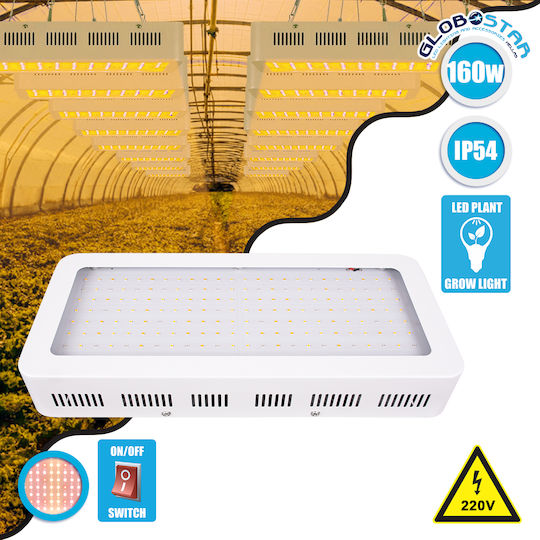 GloboStar Pendant Grow Light with LED and Power 160W L40xW18xH6cm.