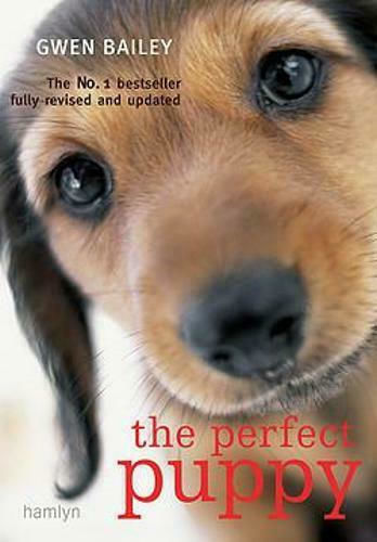 The Perfect Puppy The Perfect Puppy