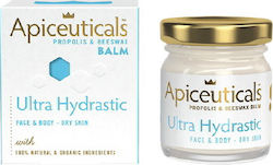 Apiceuticals Ultra Hydrastic Dry Skin Moisturizing Balm Suitable for Dry Skin 40ml