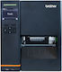 Brother Label Printer Thermal & Direct Transfer 203 dpi